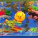 Aquarium, Colorful Cute Animals, Field Crab, Duck, Koi Fish, Clownfish, Dolphin, Betta, Turtle