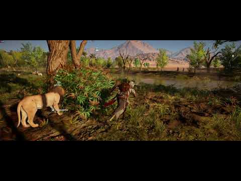 Assassin's Creed ORIGINS -ANIMAL FIGHTS
