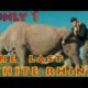 Aventura With Rhino White Todavia Big Animals hanya tersisa 2 saja on the world animais Romana