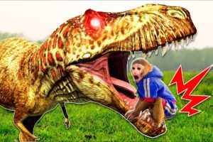 Bibo gas master fights with dinosaurs to protect his pet