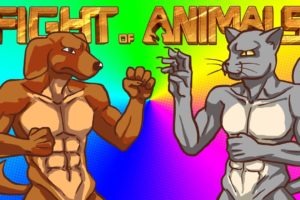 CHAD JAMNIK VS KOT TURBODACHOWIEC! | FIGHT OF ANIMALS