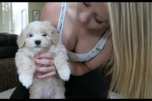 CUTEST PUPPY EVER!?! (DOG)