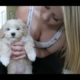 CUTEST PUPPY EVER!?! (DOG)