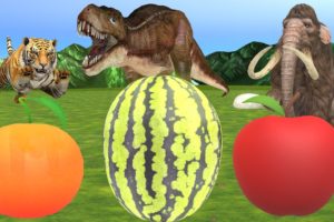 Dinosaurs Vs Mammoth Vs Tiger Wild Animals Play Games With Fruits in Forest
