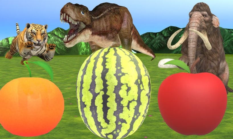 Dinosaurs Vs Mammoth Vs Tiger Wild Animals Play Games With Fruits in Forest