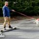 Dog Loves Taking Her Dad For a Ride | The Dodo