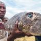 EXTREME African Seafood!!! WILD Tanzania Street Food in Dar es Salaam!!