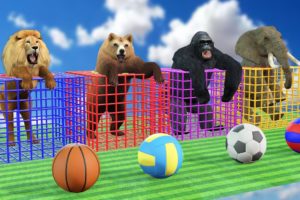 Elephant, Gorilla, Dinosaur, Kangaroo, Rhino, Tani the game who will throw the ball into the basket