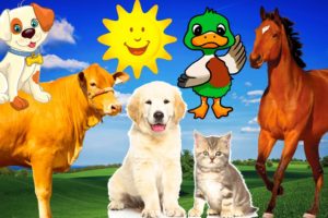 Farm animals - cow, duck, cat, dog, horse - Animal sounds - Part 1