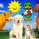 Farm animals - cow, duck, cat, dog, horse - Animal sounds - Part 1