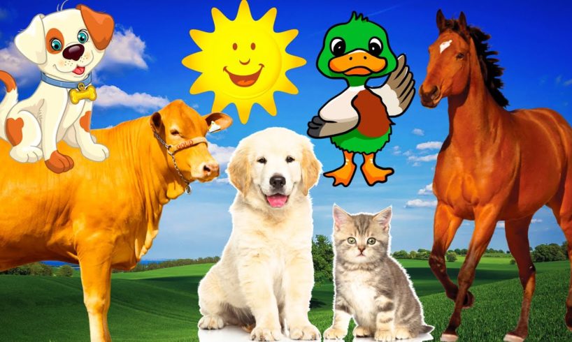 Farm animals - cow, duck, cat, dog, horse - Animal sounds - Part 1