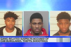 Gang-related suspects arrested for multiple car burglaries, thefts, shootings, police say