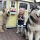 Giant Dogs Go Crazy For Baby Girl Coming Home! (CUTEST EVER!!)