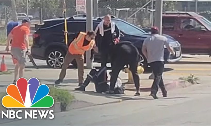 Group Of Bystanders In Los Angeles Beat Man For Allegedly Abusing Dog