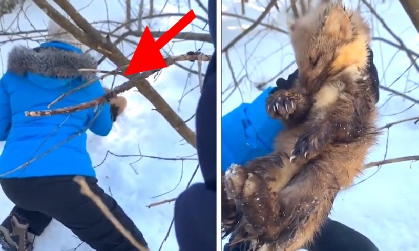Hikers Rescue Struggling Animal from Snow | ANIMAL RESCUES