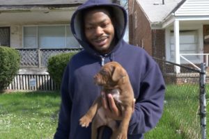 Hope For Paws Try To Rescue Injured Dog in Detroit Then This Happened