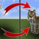 How to fix invisible animals problem (Mo'creatures Minecraft mod tutorial)