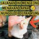 Kucing Jalanan Mengeong Parau Menahan Lapar | Bagiin Nasi Ikan ke Kucing Jalanan Street Cat Feeding