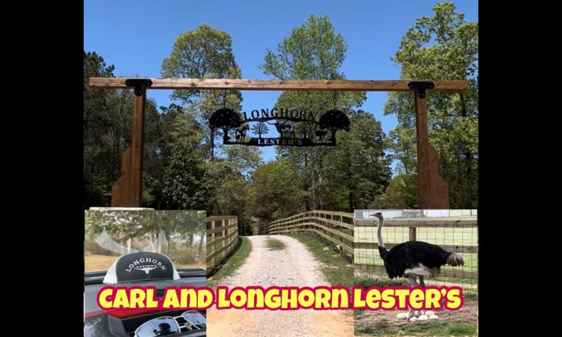Lester ❤️ Jami Sanctuary Sunday!