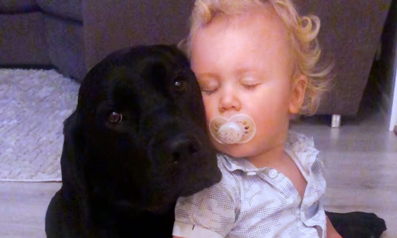 Little Boy Can't Go To Bed Without Hugging His Favorite Dog | The Dodo