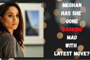 MEGHAN - HAS SHE GONE BARKING MAD? #royalfamily #princeharry #meghanmarkle