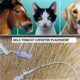 MILA Tomcat Catheter Placement