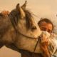 Mama Horse Rescued From California Fires Breaks From Handlers To Save Her Foal