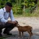 Musician Rescues Starving Puppy & Creates 3 Viral Music Videos About It - Arthur Yoria's RUFF LIFE