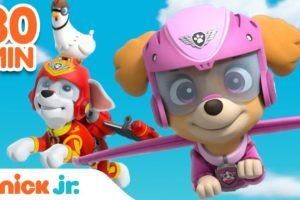 PAW Patrol Air Rescues w/ Skye & the Mighty Pups! 🚁 | 30 Minute Compilation | Nick Jr.