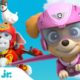 PAW Patrol Air Rescues w/ Skye & the Mighty Pups! 🚁 | 30 Minute Compilation | Nick Jr.