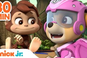 PAW Patrol Earth Day Rescues! w/ Skye, Tracker & Mighty Pups | 30 Minute Compilation | Nick Jr.