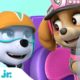 PAW Patrol Mighty Rescues w/ Skye & Everest! | 30 Minute Compilation | Nick Jr.