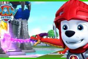 PAW Patrol Royal Rescues! 👑 | PAW Patrol | Cartoons for Kids Compilation