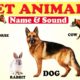 🐴🐮🐶 PET ANIMALS NAME AND SOUND FOR KIDS | 🐷🐏🐓FARM ANIMALS | DOMESTIC ANIMALS | ANIMAL SOUNDS |