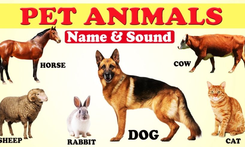 🐴🐮🐶 PET ANIMALS NAME AND SOUND FOR KIDS | 🐷🐏🐓FARM ANIMALS | DOMESTIC ANIMALS | ANIMAL SOUNDS |