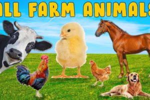 PRESENTING ALL FARM ANIMALS IN ENGLISH 🐮🐔🐏🐴