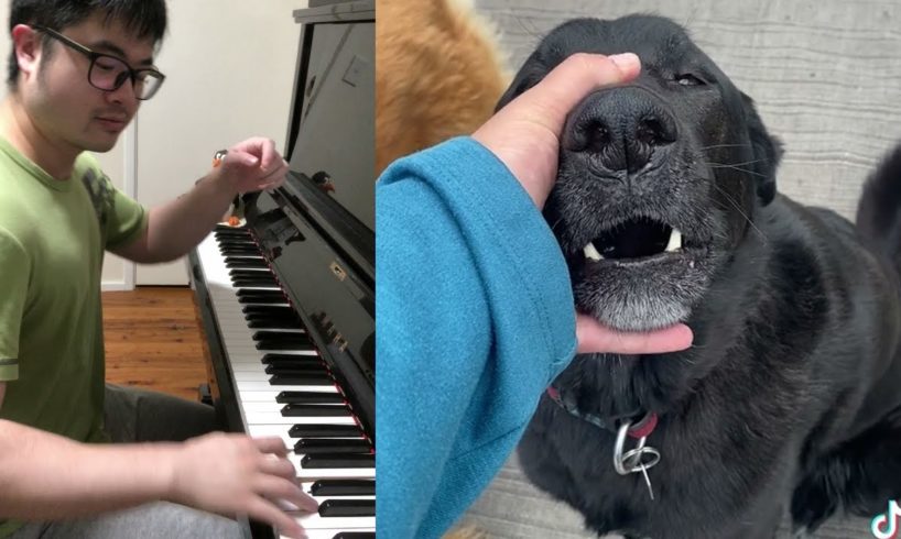 Piano Duet with Dog singing a Beautiful Love Song