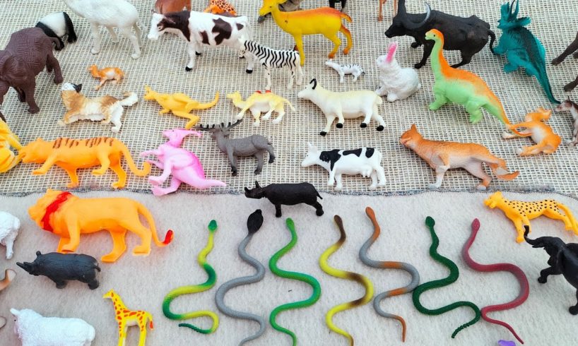 Plastic Animals Toys Collection Video Zebra, Elephant, Gorilla, Lion, Tiger, Dinosaurs, Rhino, Snake