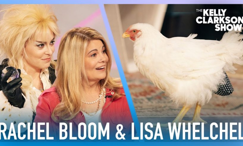 Rachel Bloom, Lisa Whelchel & Kelly Hang With Rescue Animals From Kindred Spirits Care Farm
