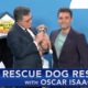 Rescue Dog Rescue with Oscar Isaac