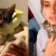 Rescue Kitten In Car Accident On The Highway - The Miracle Of God Revived The Kittens