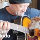 Rescue Lamb Is Obsessed With His Dad’s Guitar | The Dodo Little But Fierce