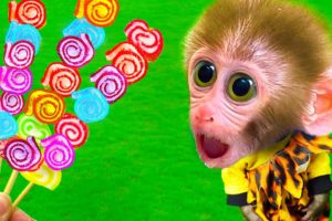 Smart Monkey Baby Bi Bon rescues Cheese from an aggressive crocodile and eats colorful marshmallows