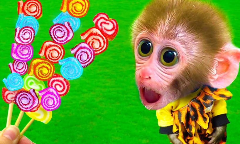Smart Monkey Baby Bi Bon rescues Cheese from an aggressive crocodile and eats colorful marshmallows