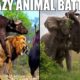 TOP 20 CRAZY ANIMAL BATTLES / Merciless animal fights to the Death