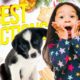 TOP 5 Cute Puppy Surprise For Christmas #1 | Cutest Puppies 2021