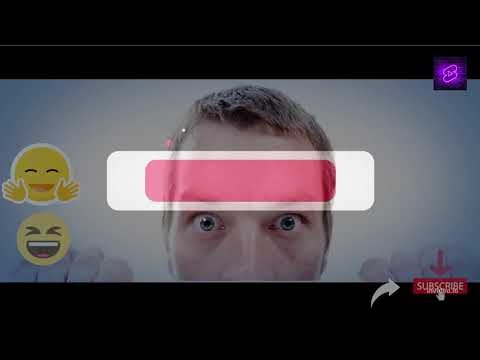 The Cutest Puppies on Earth! Adorable