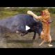 The Greatest Fights in The Animal kingdom  merciless Animal battles Ever fights