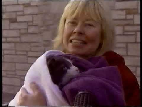 The World's Most Incredible Animal Rescues II (Aug 1998)