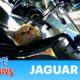 The smartest kitten in the world crawled into a brand new Jaguar! 🐆